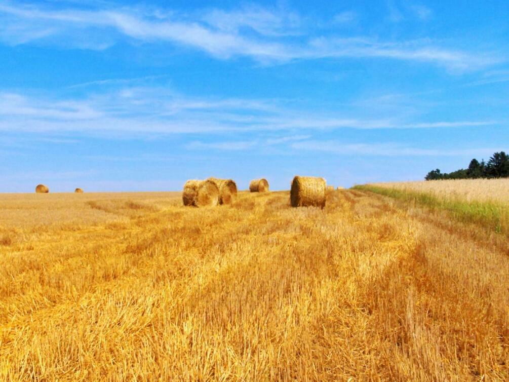 Appartamento Casa Dante Vivo dʼOrcia Esterno foto